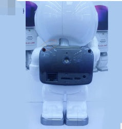 Astronaute Robot
