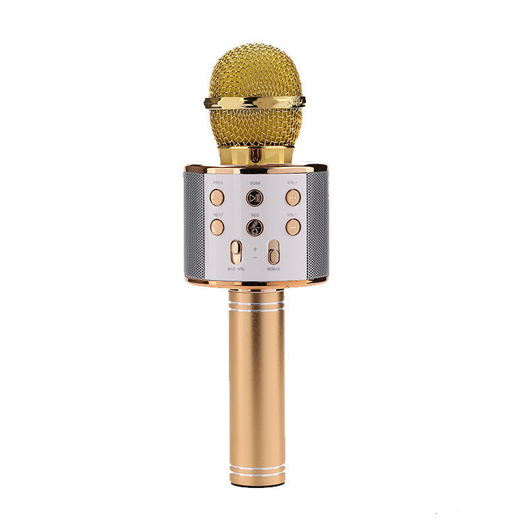 Microphone sans ireless portable bluetooth Mini Home pour jouer de la music Chanter Haut-parleur Lecteur